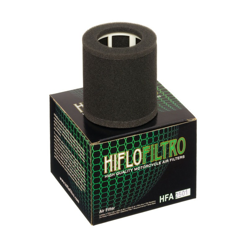 Filtro de aire HIFLOFILTRO - HFA2501