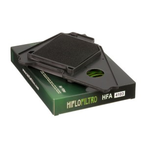 Filtro de aire HIFLOFILTRO - HFA4103