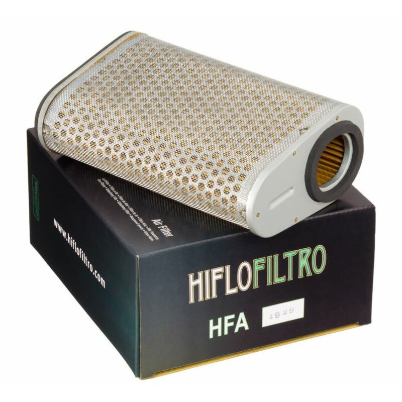 Filtro de aire HIFLOFILTRO - HFA1929