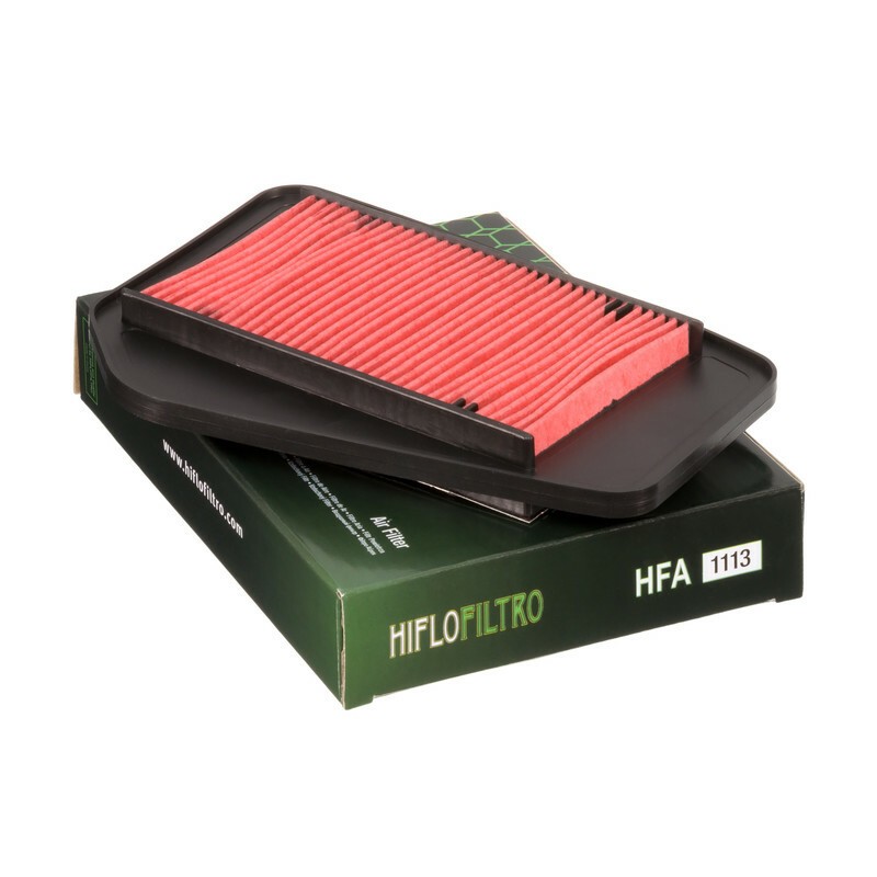 Filtro de aire HIFLOFILTRO - HFA1113