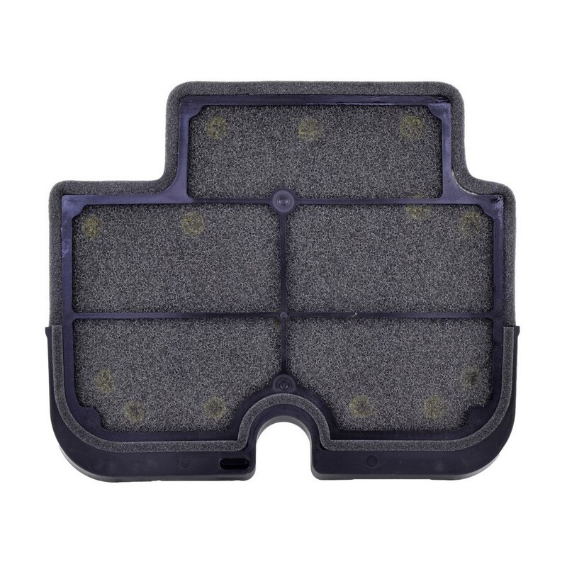 Filtro de aire TECNIUM - 110290011