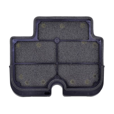 Filtro de aire TECNIUM - 110290011