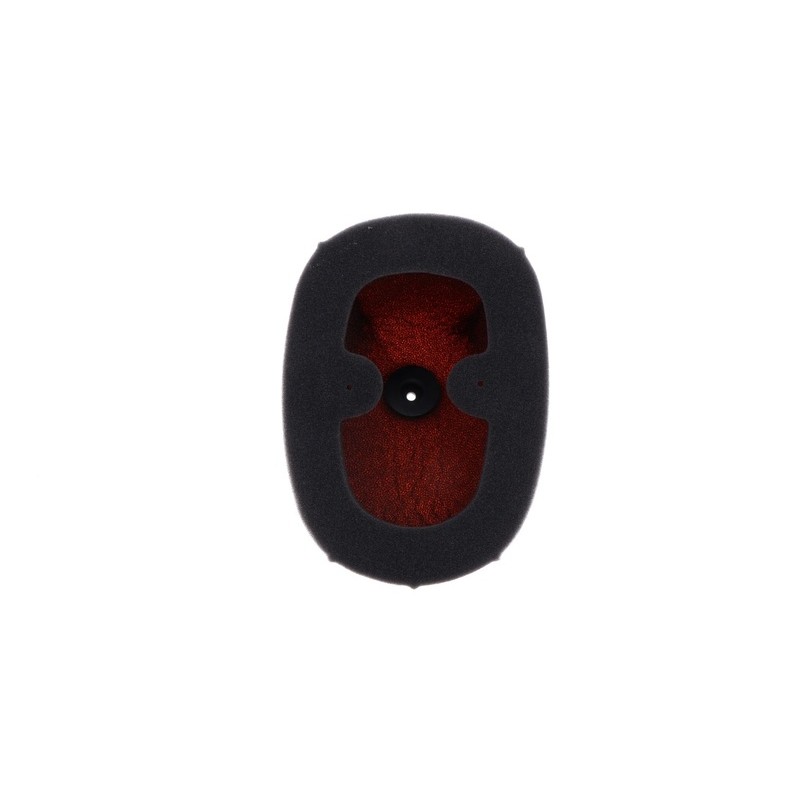 Filtro de aire Twin Air Honda CRF250R - 150229FR