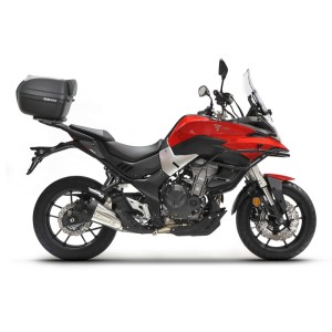 Fijación Top master SHAD