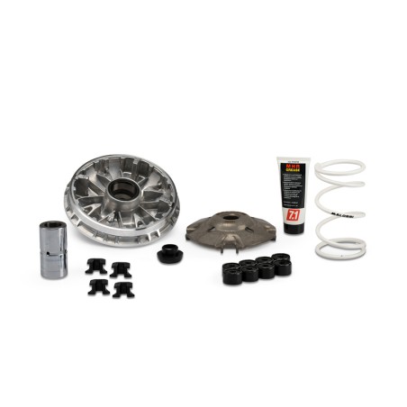 Variador MALOSSI Multivar 2000