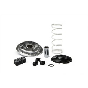 Variador MALOSSI Multivar 2000