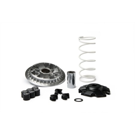 Variador MALOSSI Multivar 2000