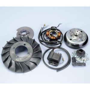 Encendido Polini Vespa PX-PE 125/150/200 12V 1,4Kg Cono Ø20mm Avanc...