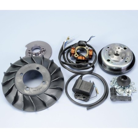 Encendido Polini Vespa PX-PE 125/150/200 12V 1,4Kg Cono Ø20mm Avanc...