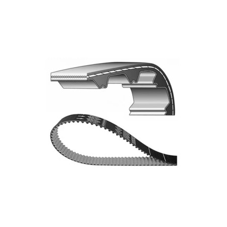 Correa de distribución DAYCO