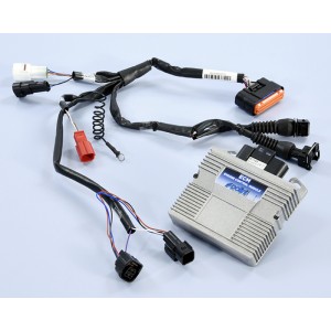 Centralita ECM POLINI