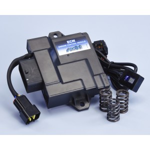 Centralita ECM POLINI