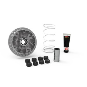 Variador MALOSSI Multivar 2000