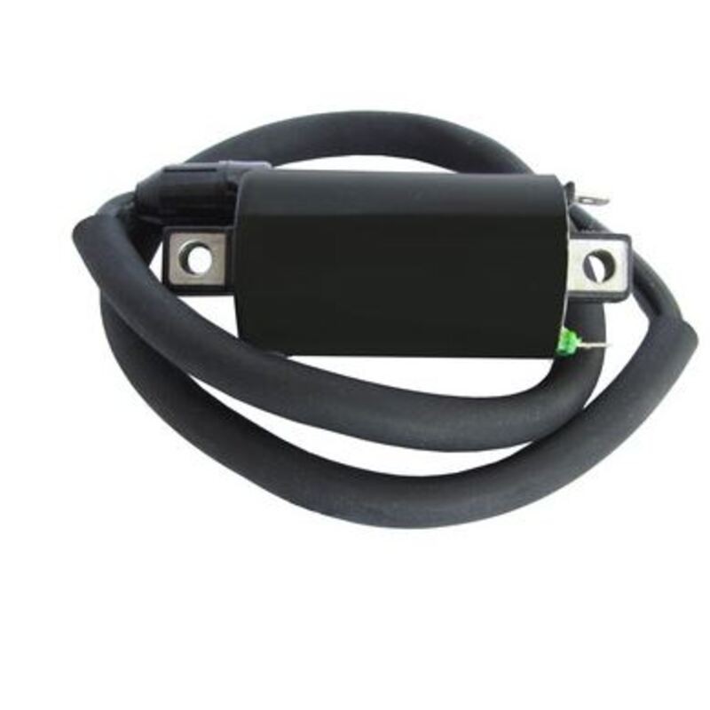 Bobina de encendido TECNIUM 4062
