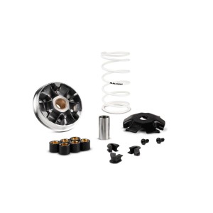 Variador MALOSSI Multivar 2000