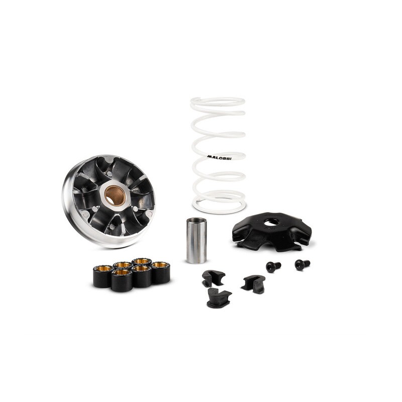 Variador MALOSSI Multivar 2000