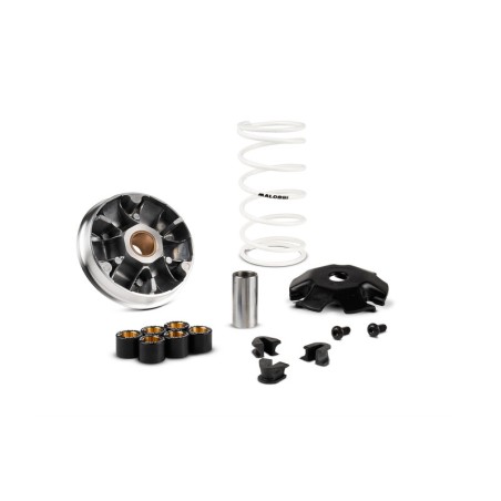 Variador MALOSSI Multivar 2000