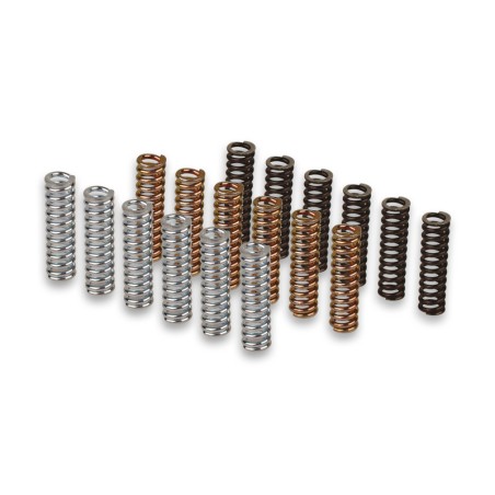 Kit de muelles de embrague MALOSSI Racing para embrague original