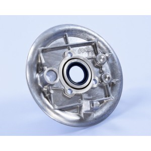 Plato porta mordazas trasero POLINI