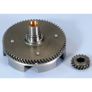 Desarrollo primario POLINI Z-18-67