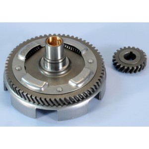 Desarrollo primario POLINI Z-22-63