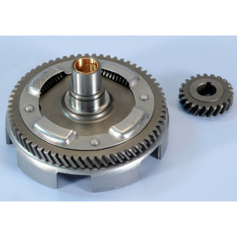 Desarrollo primario POLINI Z-22-63