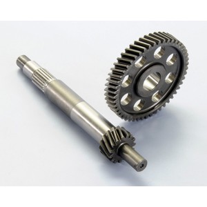 Desarrollo engranaje primario POLINI - Z-15/49