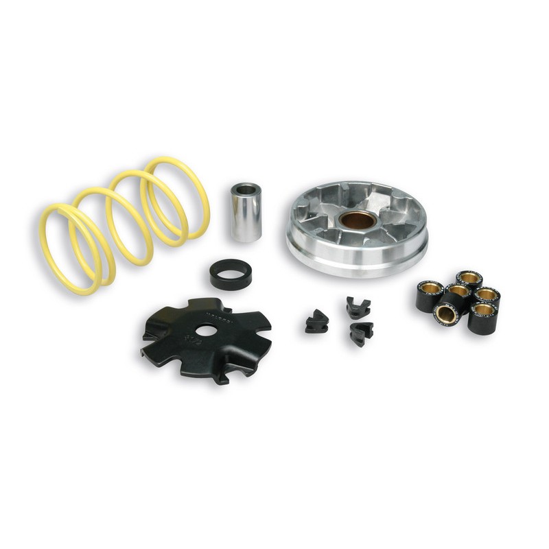 Variador MALOSSI Multivar