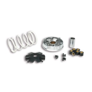 Variador MALOSSI Multivar