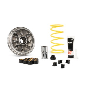 Variador MALOSSI Multivar 2000