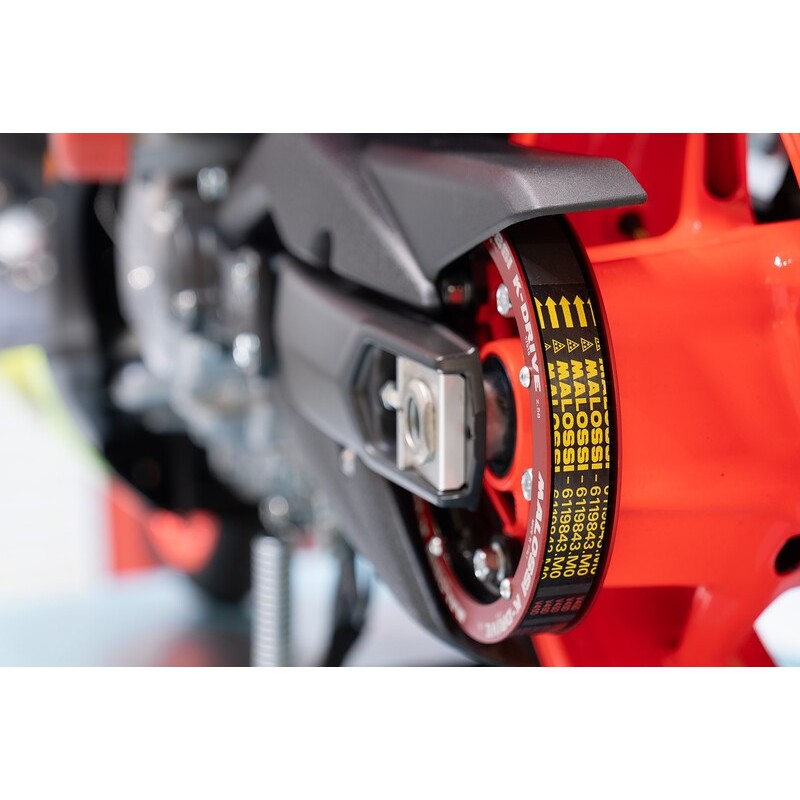 Correa de transmision MALOSSI Final Power