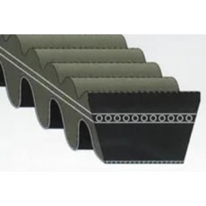 Correa de transmision BANDO Premium Variomatic