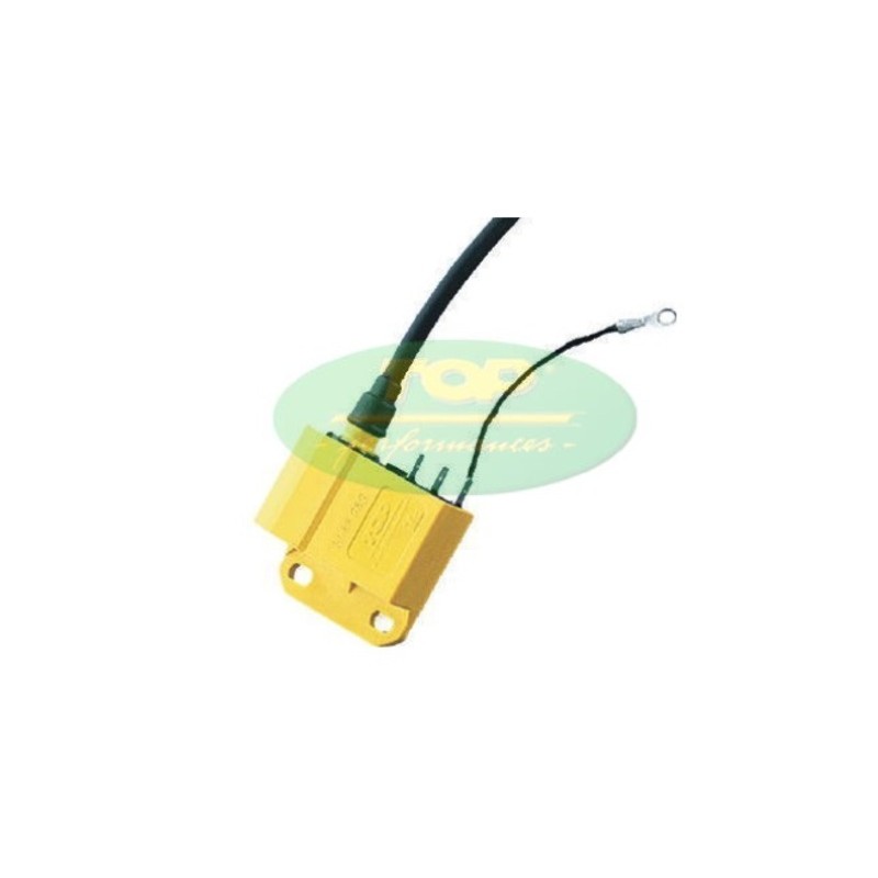 CDI TOP PERFORMANCES avance fijo - Minarelli AM6 y encendido Ducati...