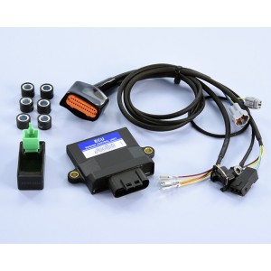 Centralita ECU POLINI