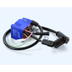 Bobina programable estátor PVL POLINI