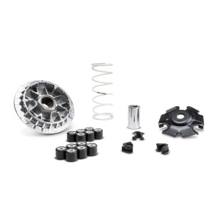 Variador MALOSSI Multivar 2000