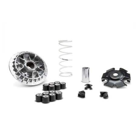 Variador MALOSSI Multivar 2000