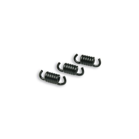 Kit de muelles de embrague MALOSSI Racing Ø2,2mm negros para embrag...