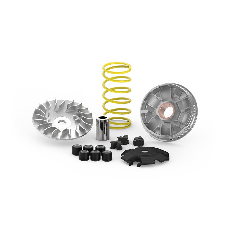 Variador MALOSSI Multivar 2000