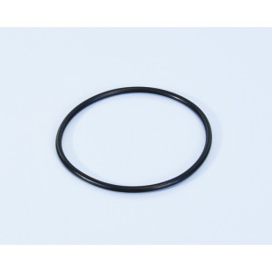 Correa de transmisión bomba de agua POLINI