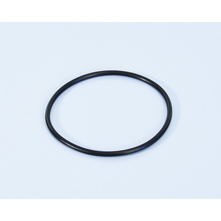 Correa de transmisión bomba de agua POLINI