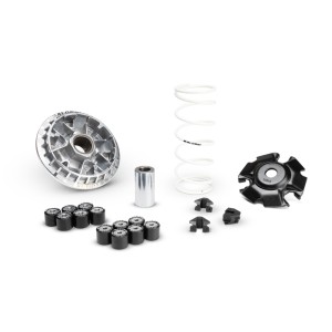 Variador MALOSSI Multivar 2000