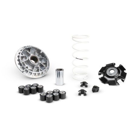 Variador MALOSSI Multivar 2000