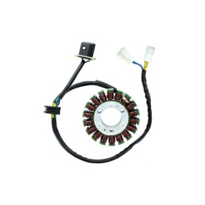 ELECTROSPORT Stator ESG 368 GV250 Aquila - EFI (09-13)
