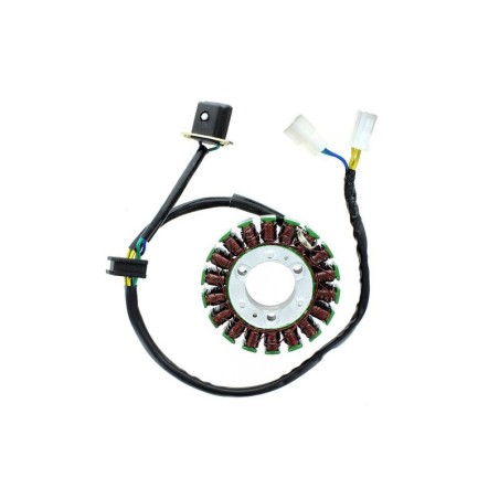 ELECTROSPORT Stator ESG 368 GV250 Aquila - EFI (09-13)