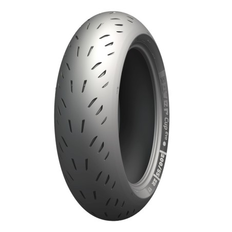 Neumático MICHELIN POWER CUP EVO 150/60 ZR 17 M/C (66W) TL