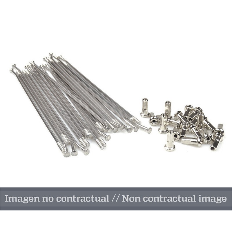 Juego de radios plata para llanta 21 para buje OEM 25 1307