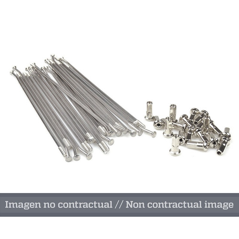 Juego de radios plata para llanta 17 para buje OEM 25 5404