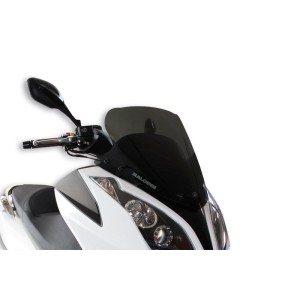 Pantalla MALOSSI Sport ahumada Kymco Superdink, Dink Street 125/200...