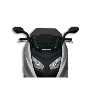 Pantalla MALOSSI Ahumada SPORT BMW C600 4515571B